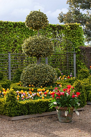 EAST_RUSTON_OLD_VICARAGE_GARDEN_NORFOLK_THE_DUTCH_GARDEN_IN_SPRING__BOX_EDGED_BEDS_AND_TERRACOTTA_CO