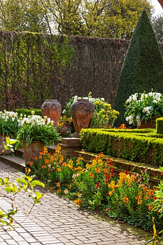 EAST_RUSTON_OLD_VICARAGE_GARDEN_NORFOLK_THE_KINGS_WALK__CLIPPED_TOPIARY_YEW_OBELISK_WALLFLOWERS_AND_