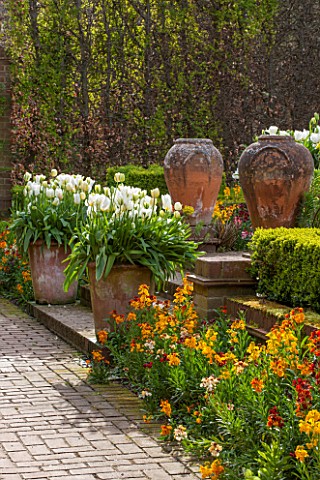 EAST_RUSTON_OLD_VICARAGE_GARDEN_NORFOLK_THE_KINGS_WALK__WALLFLOWERS_AND_TERRACOTTA_CONTAINERS_WITH_W
