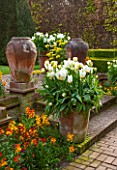 EAST RUSTON OLD VICARAGE GARDEN, NORFOLK: THE KINGS WALK - WALLFLOWERS AND TERRACOTTA CONTAINERS WITH WHITE TULIPS SPRING GREEN, TWILIGHT PRINCESS AND MAREEN DOUBLE. SPRING