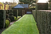 EAST RUSTON OLD VICARAGE GARDEN, NORFOLK: AVENUE OF YEW HEDGES WITH GRASS PATH AND SEAT / BENCH AS FOCAL POINT. SPRING, BOX BALLS, HORNBEAM. HEDGE, CLIPPED, TRIMMED, TOPIARY