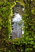 EAST RUSTON OLD VICARAGE GARDEN, NORFOLK: VIEW OF CHURCH THROUGH HOLE IN BEECH HEDGE. VISTA, FOCAL POINT, SPRING, HEDGING, SURPRISE