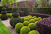 EAST RUSTON OLD VICARAGE GARDEN, NORFOLK: CLIPPED TOPIARY YEW AND BOX BALLS WITH BERBERIS HEDGE - HEDGING, GREEN, TRIMMED, SHRUB, EVERGREEN, SHAPED, SHAPE, FORMAL