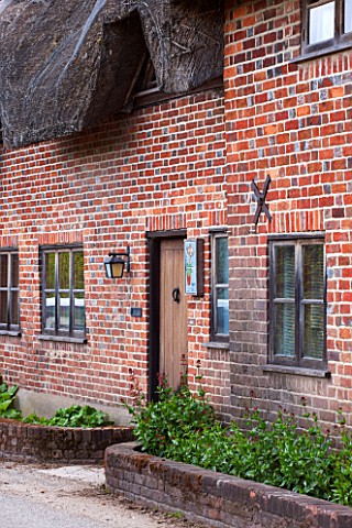 POPS_PLANTS_AURICULAS_HAMPSHIRE_THE_FRONT_DOOR_OF_THE_THATCHED_COTTAGE