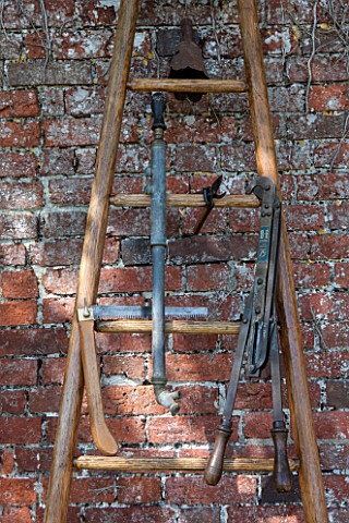 PENNARD_PLANTS_SOMERSET_LADDER_WITH_OLD_TOOLS_USED_FOR_PRUNING_TREES