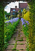 WARDINGTON MANOR, OXFORDSHIRE: THE LAND GARDENERS: VIEW THROUGH HEDGE IN SPRING WITH PATH LINED WITH BLUE IRIS - FRAME, FRAMING, PATH, STONE, HOUSE, COUNTRY GARDEN