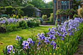 WARDINGTON MANOR, OXFORDSHIRE: THE LAND GARDENERS: PATH IN SPRING LINED WITH BLUE IRIS - GRASS AND BORDER WITH WHITE LUPINS. HOUSE, COUNTRY GARDEN