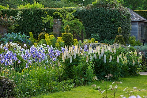 WARDINGTON_MANOR_OXFORDSHIRE_THE_LAND_GARDENERS_GRASS_AND_BORDER_IN_SPRING_WITH_WHITE_LUPINS_AND_BLU