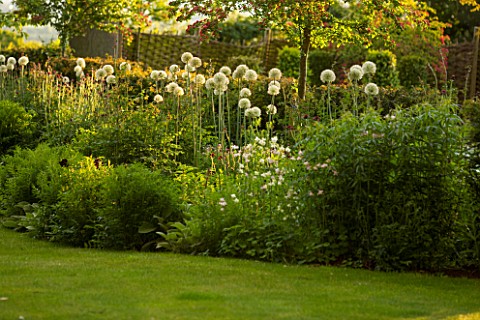 THE_OLD_VICARAGE_WORMLEIGHTON_WARWICKSHIRE_DESIGNER_ANGEL_COLLINS__VIEW_OF_LAWN_AND_BORDER_WITH_ALLI