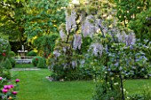 THE MANOR HOUSE, STEVINGTON, BEDFORDSHIRE: THE WISTERIA ARCH AT DAWN WITH FOUNTAIN BEYOND