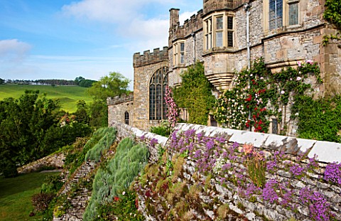 HADDON_HALL_DERBYSHIRE_PLANTED_WALL_BELOW_THE_HALL_IN_JUNE