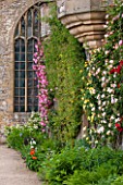 HADDON HALL, DERBYSHIRE: ROSES BESIDE THE CHAPEL WALL