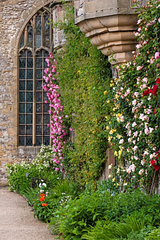 HADDON_HALL_DERBYSHIRE_ROSES_BESIDE_THE_CHAPEL_WALL