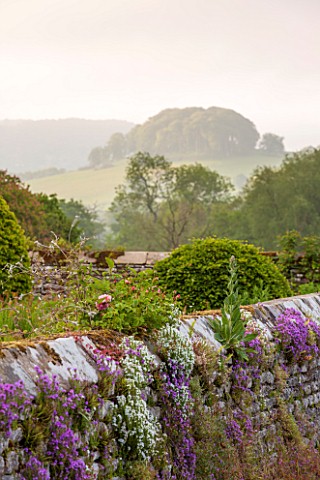 HADDON_HALL_DERBYSHIRE_WALL_WITH_FLOWERS_AND_VIEW_OF_HILLS_BEYOND