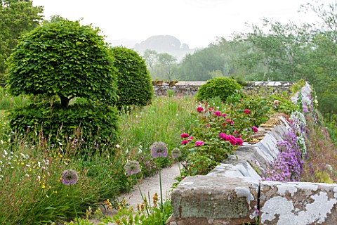 HADDON_HALL_DERBYSHIRE_ROSES_BESIDE_A_WALL_ON_THE_LOWER_GARDEN_WITH_THE_HILLS_BEYOND