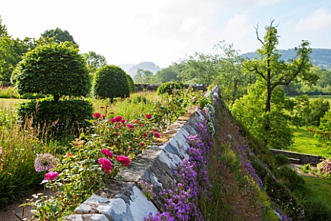HADDON_HALL_DERBYSHIRE_ROSES_BESIDE_A_WALL_ON_THE_LOWER_GARDEN_WITH_VIEWS_OF_COUNTRYSIDE_BEYOND