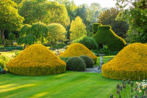 ABLINGTON_MANOR__GLOUCESTERSHIRE_LAWN_WITH_CLIPPED_TOPIARY_YEW_AROUND_STONE_SUNDIAL__CLASSIC_COUNTRY