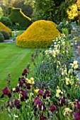 ABLINGTON MANOR  GLOUCESTERSHIRE: LAWN WITH IRIS SENLAC AND NECTAROSCORDUM - CLIPPED TOPIARY YEW AROUND STONE SUNDIAL - CLASSIC COUNTRY GARDEN  SUMMER  JUNE  FOCAL POINT