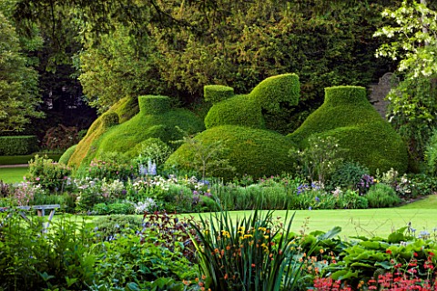 ABLINGTON_MANOR__GLOUCESTERSHIRE_VIEW_ACROSS_LAWN_TO_CLIPPED_TOPIARY_YEW_CLASSIC_COUNTRY_GARDEN__JUN