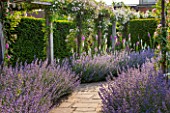 GREAT FOSTERS, SURREY: THE ROSE GARDEN IN JUNE: CATMINT - NEPETA FAASSENII AND ROSES. FORMAL, SUMMER, ENGLISH GARDEN, ROSES, CLASSIC, ROMANTIC, BORDER, PURPLE, BLUE, WHITE, PATH