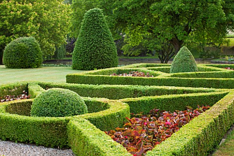 LITTLE_MYNTHURST_FARM_SURREY_FORMAL_BOX_PARTERRE_OUTSIDE_HOUSE_ON_LAWN_CLIPPED_TOPIARY_HEDGE_HEDGING