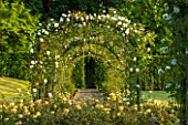 LITTLE MYNTHURST FARM, SURREY: PATH THROUGH ARCH OF ROSES. PERGOLA, ARCHWAY, VIEW, VISTA, FRAME, ROSE, ROSA, COUNTRY, GARDEN, ENGLISH