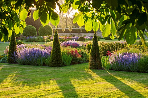 PRIVATE_GARDEN_GLOUCESTERSHIRE__DESIGNER_ANGEL_COLLINS__BORDER_BY_LAWN__YEW_SALVIA_MAINACHT_VERONICA