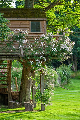 OLD_NETLEY_MILL_SHERE_SURREY_WOODEN_TREE_HOUSE_BY_ALAN_LAWRENCE_WITH_CLIMBING_ROSE__ROSA_PAULS_HIMAL