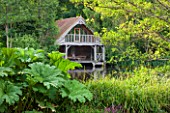 OLD NETLEY MILL, SHERE, SURREY: PLANTING OF GUNNERA MANICATA - GIANT RHUBARB IN FRONT OF WOODEN BOAT HOUSE. SHADE, SHADY, SUMMER, JUNE, GREEN
