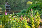 OLD NETLEY MILL, SHERE, SURREY: POPPIES AND FOXGLOVES GROWING BESIDE THE LAKE WITH WOODEN BOAT HOUSE IN THE BACKGROUND