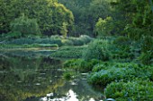 OLD NETLEY MILL, SHERE, SURREY: THE LAKE IN EARLY MORNING  - GARDEN, FLOWER, JUNE, SUMMER