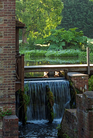 OLD_NETLEY_MILL_SHERE_SURREY_VIEW_ACROSS_WATERFALL_TO_LAKE_JUNE_SUMMER