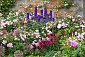 BROUGHTON CASTLE, OXFORDSHIRE: BORDER IN THE WALLED GARDEN WITH DELPHINIUMS, ROSES AND PENSTEMON - SUMMER, JUNE, FLOWERS