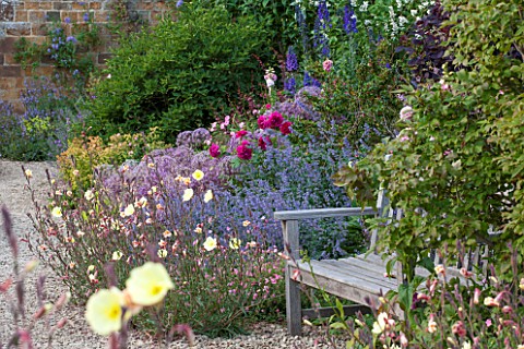 BROUGHTON_CASTLE_OXFORDSHIRE_BORDER_IN_THE_WALLED_GARDEN_WITH_ROSES_OENOTHERA_NEPETA_AND_ALLIUMS___S