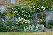 BROUGHTON CASTLE, OXFORDSHIRE: BORDER BESIDE THE WALLED GARDEN WITH ROSES, DELPHINIUMS, PHLOMIS RUSSELIANA AND STCAHYS BYZANTINA  - SUMMER, JUNE, FLOWERS