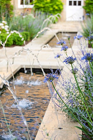 PRIVATE_GARDEN_GLOUCESTERSHIRE__DESIGNER_ANGEL_COLLINS__RILL_CANAL_POOL_POND_WATER_WITH_AGAPANTHUS_B