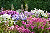 GARDENING WHICH ? TRIAL GROUND - BORDER OF DIFFERENT COLOURED PHLOX