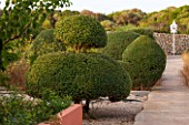 JONATHAN BAILLIE GARDEN, ALAIOR, MENORCA: CLIPPED TOPIARY OLIVE TREES WITH VIEW TO WHITE DOVECOTE. MEDITERRANEAN