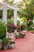 JONATHAN BAILLIE GARDEN, ALAIOR, MENORCA: PATIO WITH RED FLOOR, WHITE PAINTED PERGOLA WITH RED FLOOR ON PATIO, BOUGAINVILLEA IN RAISED BEDS