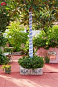 JONATHAN BAILLIE GARDEN, ALAIOR, MENORCA: PATIO WITH RED FLOOR, RAISED BED WITH TREE WITH BARK PAINTED WITH BLUE AND WHITE STRIPES