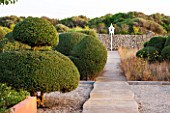 JONATHAN BAILLIE GARDEN, ALAIOR, MENORCA: CLIPPED TOPIARY OLIVES WITH PATH LEADING TO WHITE PAINTED DOVECOTE IN THE MAIN GARDEN