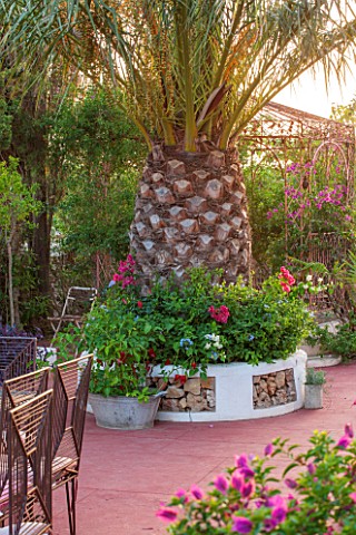 JONATHAN_BAILLIE_GARDEN_ALAIOR_MENORCA_RAISED_BED_ON_RED_PATIO_WITH_PALM_TREE__INDIAN_WROUGHT_IRON_G