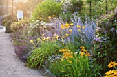 WEST DEAN GARDENS, WEST SUSSEX: LATE SUMMER BORDERS PLANTED IN YELLOW AND BLUE - PATH TO SUNDIAL - HERBACEOUS BORDER, FLOWERBEDS, FLOWER, BED. HEMEROCALLIS, CROCOSMIA, PEROVSKIA