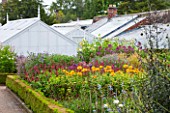 WEST DEAN GARDENS, WEST SUSSEX: HERBACEOUS PERENNIALS  IN THE CUTTING GARDEN WITH GREENHOUSES / GLASSHOUSES BEHIND. AUGUST, WALLED GARDEN, CUT FLOWERS, BLOOMS, FLOWERING