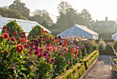 WEST DEAN GARDENS, WEST SUSSEX: DAHLIAS IN THE CUTTING GARDEN WITH GLASSHOUSES / GREENHOUSES IN THE WALLED KITCHEN GARDEN. AUGUST, BOX EDGED BED, BLOOMING, SUMMER