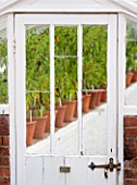 WEST DEAN GARDENS, WEST SUSSEX: CHILLIES GROWING IN A GLASSHOUSE / GREENHOUSE IN THE WALLED KITCHEN GARDEN. AUGUST, CLASSIC COUNTRY GARDEN