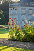 LAMPORT HALL, NORTHAMPTONSHIRE: VIEW ACROSS THE LAWN TO THE HALL WITH BORDER OF DARK RED HOLLYHOCKS, AUGUST, FLOWERS, FLOWERING, HISTORIC COUNTRY HOUSE