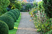 LAMPORT HALL, NORTHAMPTONSHIRE: CLIPPED BOX DOMES WITH GRAVEL PATH AND BORDERS BURSTING WITH HOLLYHOCKS AND LILIUM HENRYI - FORMAL, LAWN, CLASSIC COUNTRY HOUSE, FLOWERS, FLOWERING