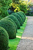 LAMPORT HALL, NORTHAMPTONSHIRE: CLIPPED BOX DOMES WITH GRAVEL PATH AND LAWN - FORMAL, CLASSIC COUNTRY HOUS, TOPIARY