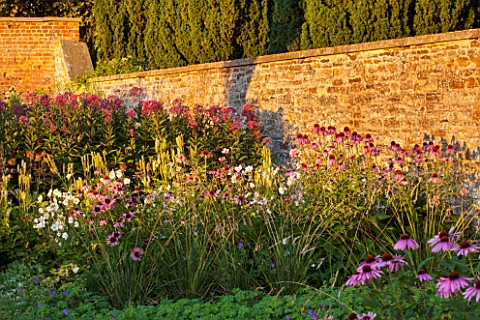 LAMPORT_HALL_NORTHAMPTONSHIRE_PERENNIAL_PLANTING_IN_THE_WALLED_CUTTING_GARDEN__ECHINACEAS_ANEMONES_J